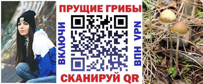 Галлюциногенные грибы Magic Shrooms  Пролетарск 